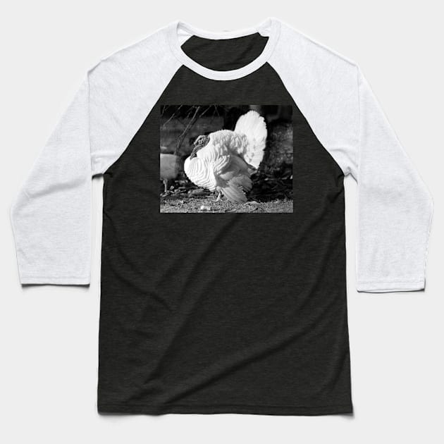 Black and White Turkey Baseball T-Shirt by Bravuramedia